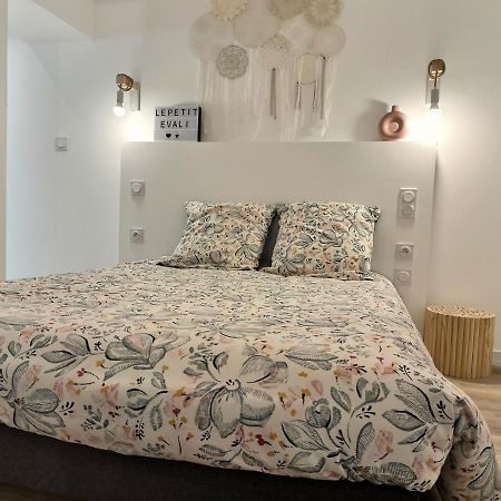 Le Petit Evali - Wifi - Centre Apartman Albi Kültér fotó