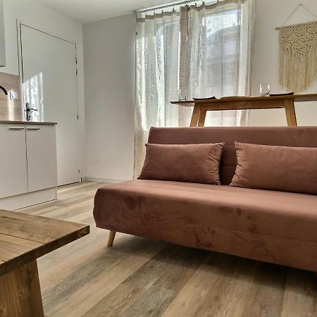 Le Petit Evali - Wifi - Centre Apartman Albi Kültér fotó